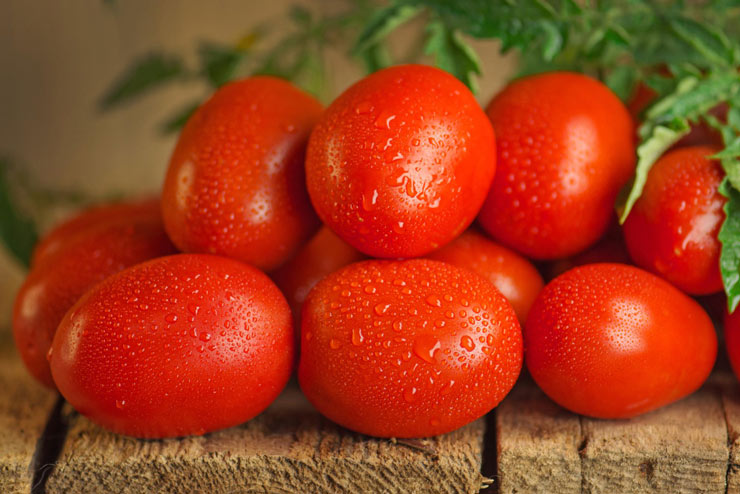what are roma tomatoes