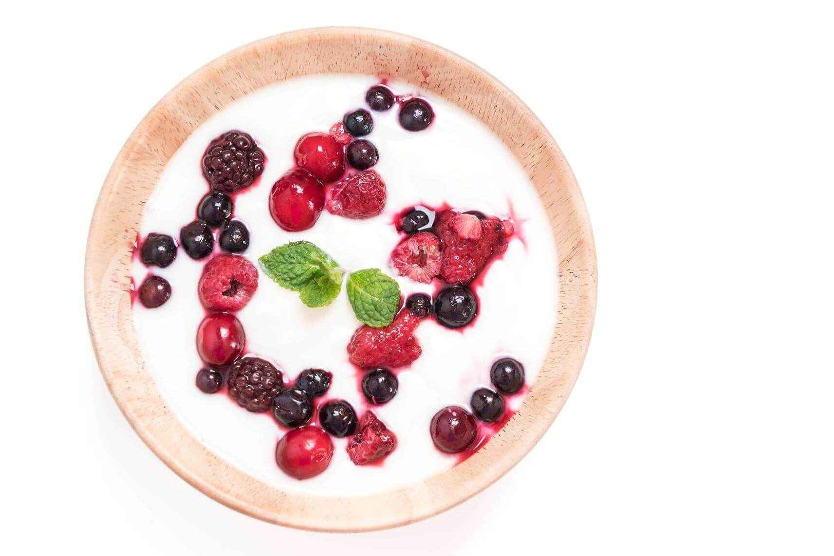 Greek Yogurt with Fruits in a bowl