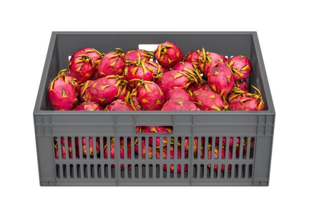 Pitaya or dragon fruits in the plastic crate, 3D rendering isolated on white background