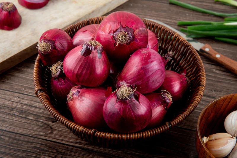 Red onion substitute