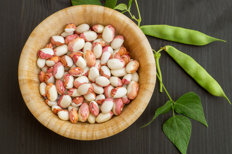 anasazi beans substitute 