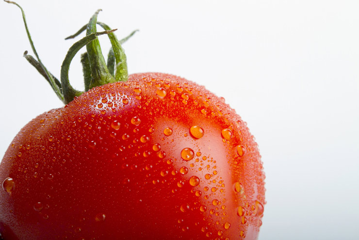 Fresh and Healthy Tomato