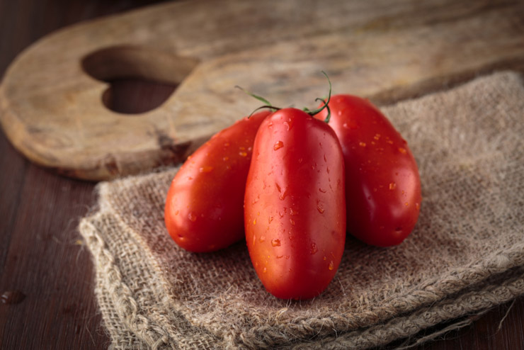 substitutes for san marzano tomatoes