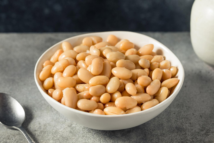 cannellini beans substitute for kidney beans