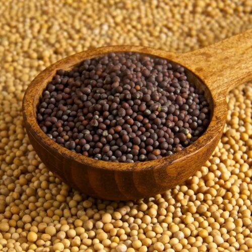 9 Perfect Mustard Seed Substitutes: Best For All Dishes!