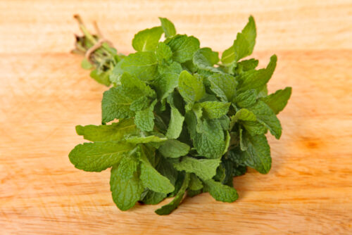 Mint Substitute: Best Alternatives